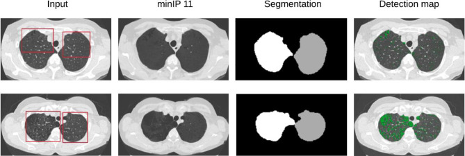 Fig. 5