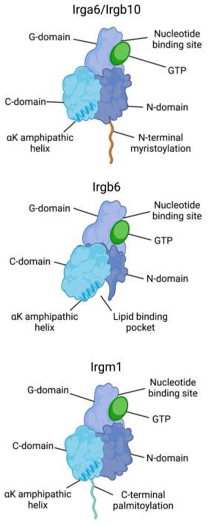 Figure 1.