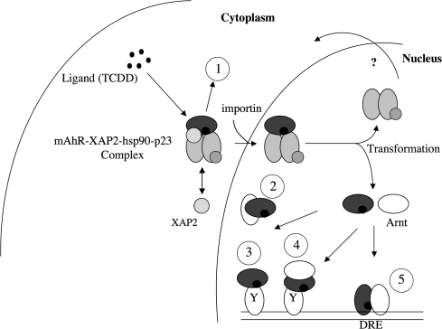 FIG. 1.