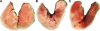 <b>Figure 3.</b>