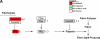 <b>Figure 4.</b>