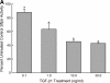 <b>Figure 6.</b>
