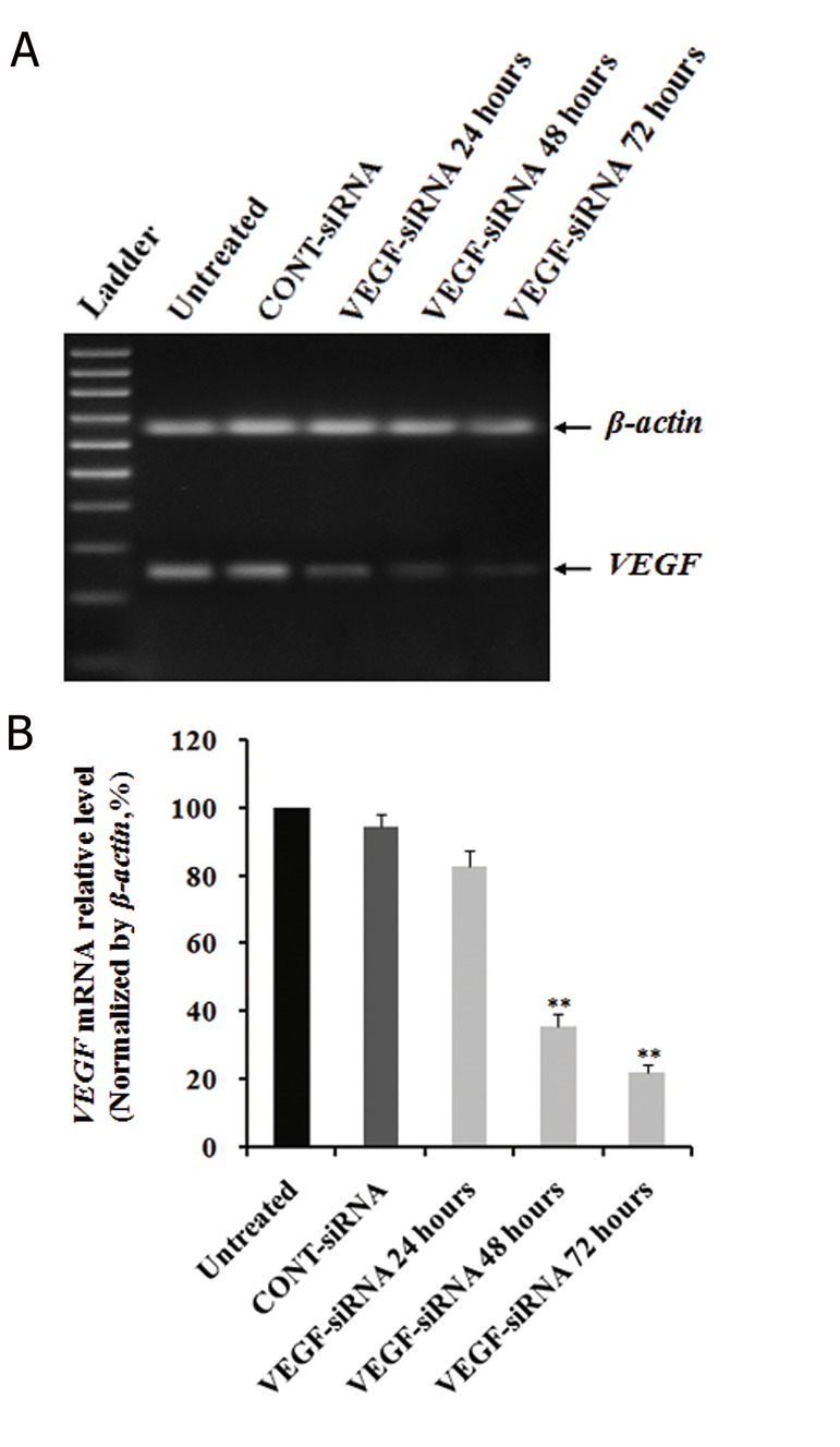 Fig.1