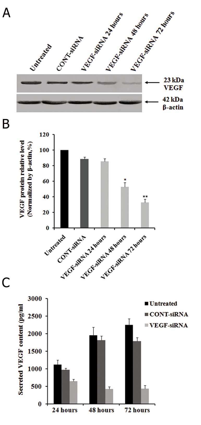 Fig.2