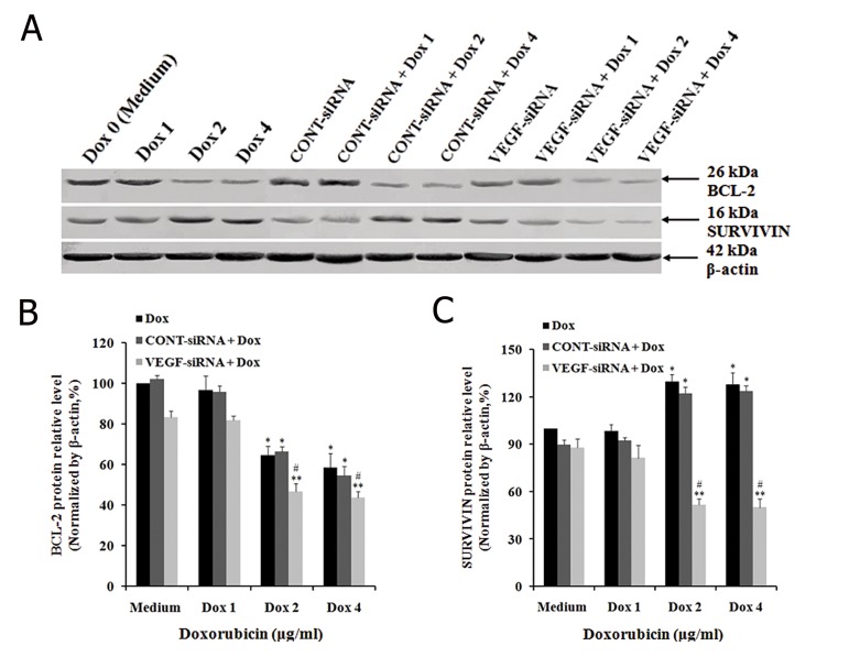 Fig.7