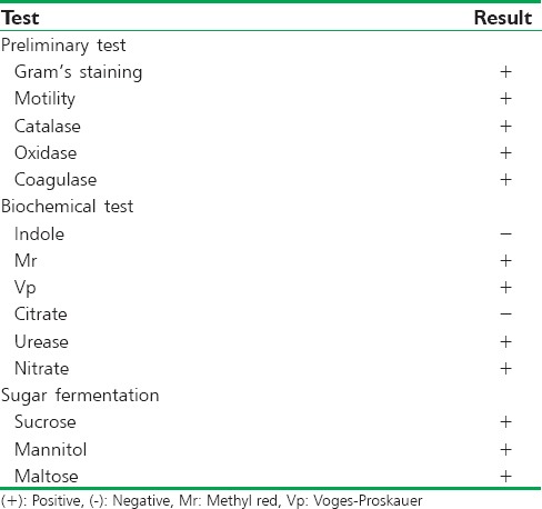 graphic file with name JAPTR-6-170-g001.jpg