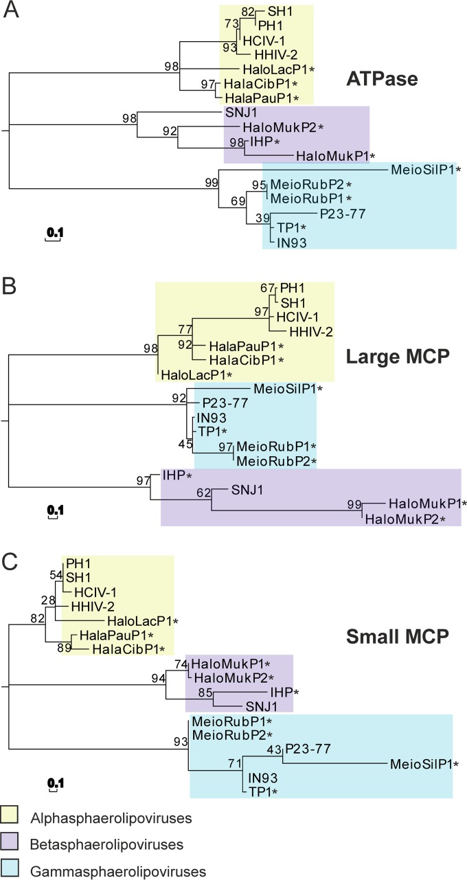 FIG 6 