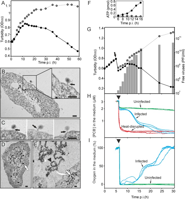 FIG 1 