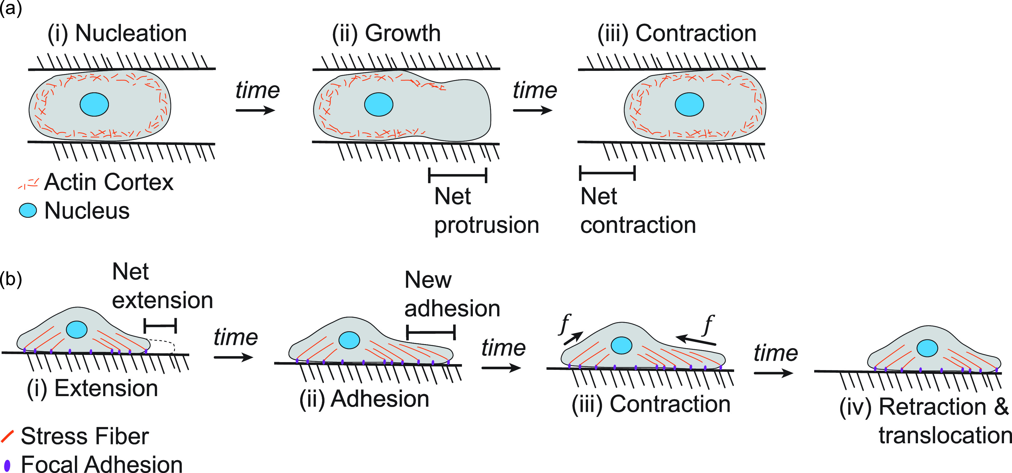 FIG. 1.