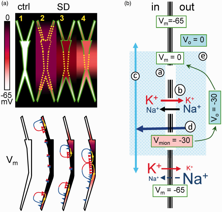 Figure 10.