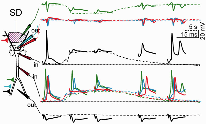 Figure 9.