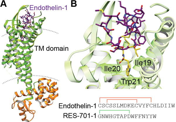 Figure 60.