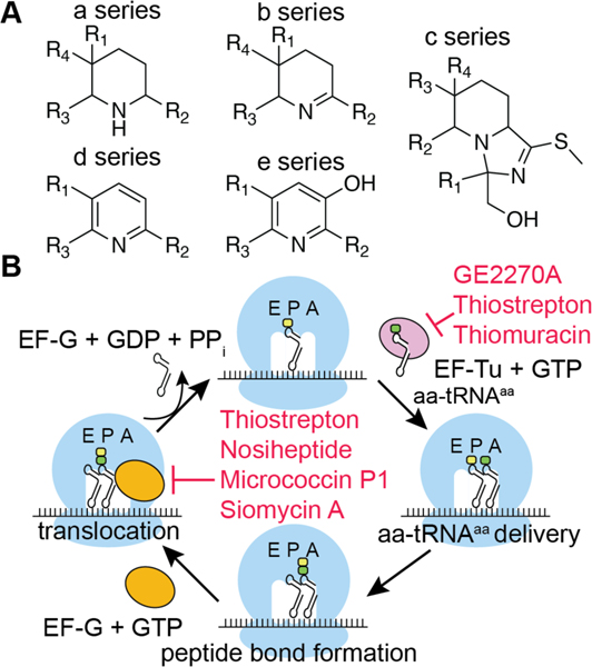 Figure 30.