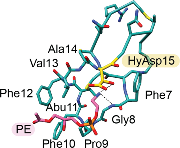 Figure 11.