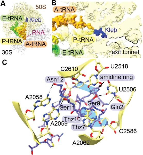 Figure 25.