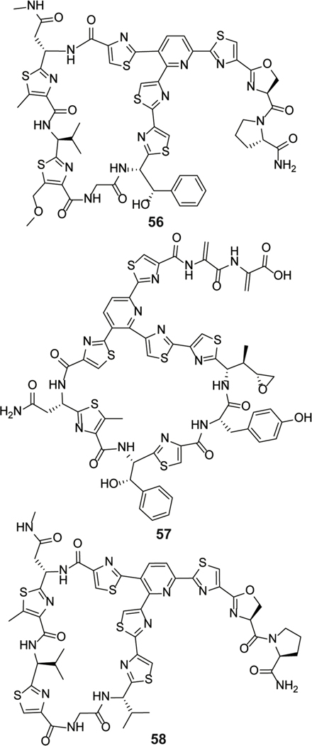 Figure 33.