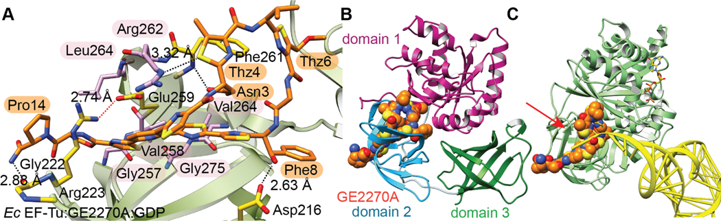 Figure 34.