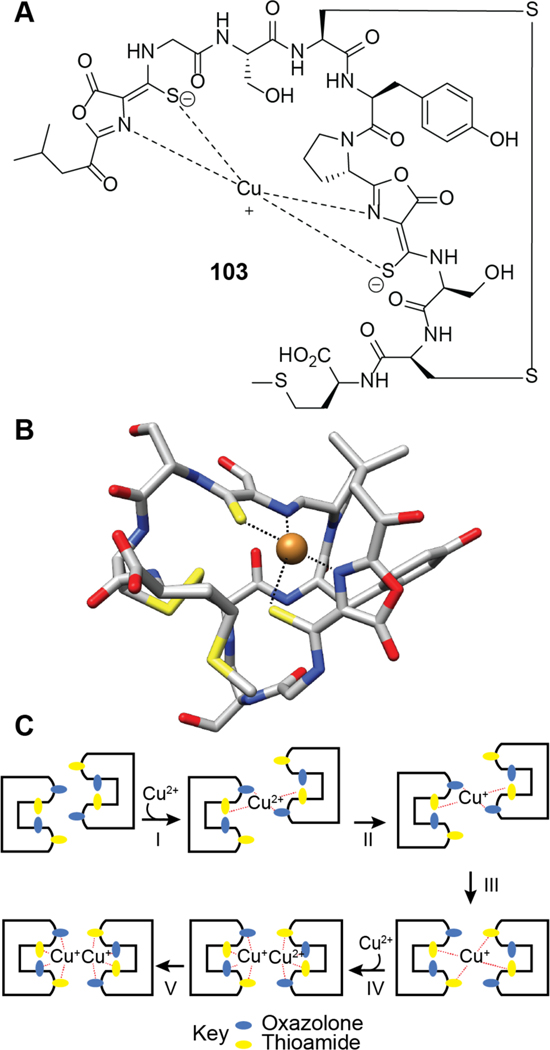 Figure 51.