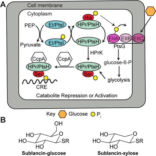 Figure 77.