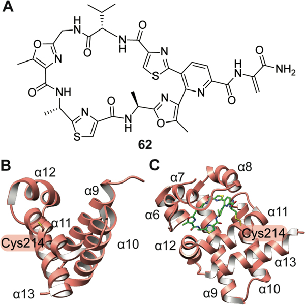 Figure 37.