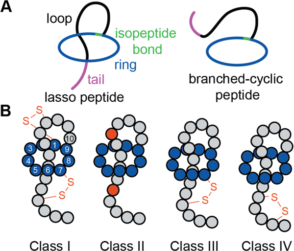 Figure 58.