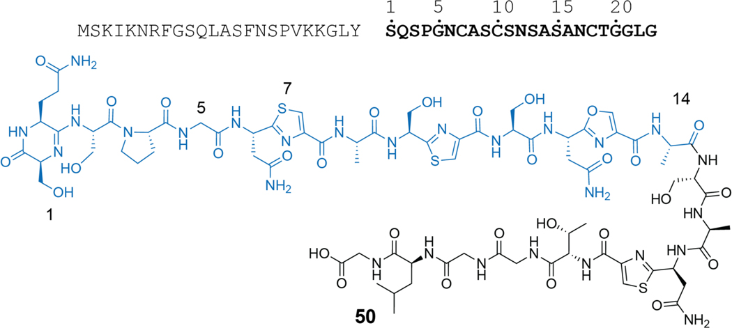 Figure 24.