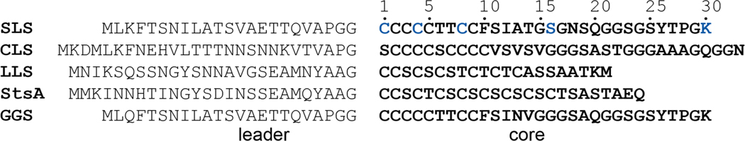 Figure 21.