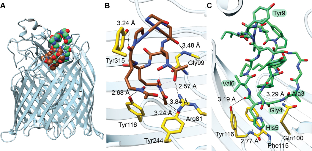 Figure 63.