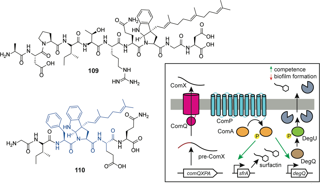 Figure 57.