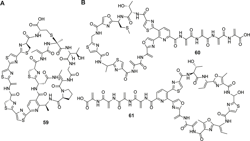 Figure 36.