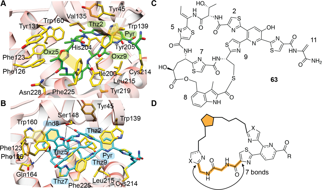 Figure 38.