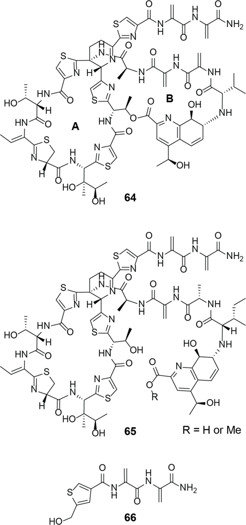 Figure 39.