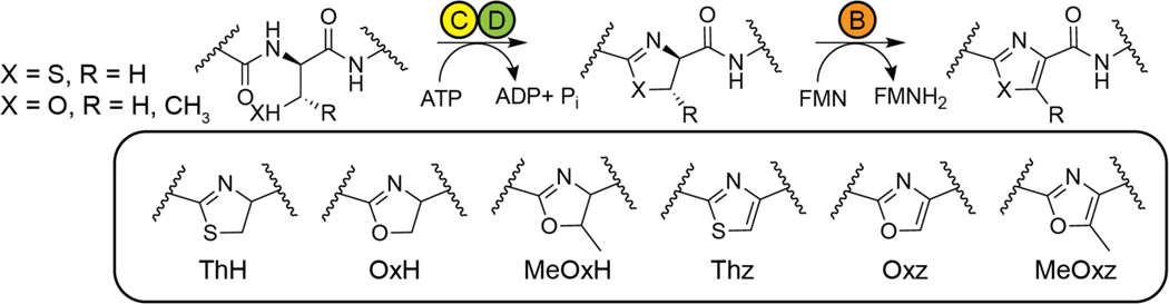 Figure 20.