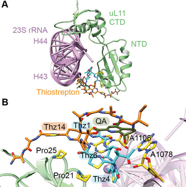 Figure 32.