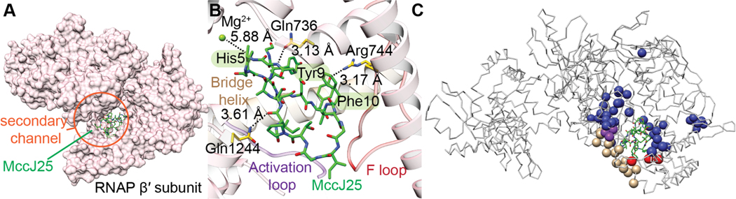 Figure 62.