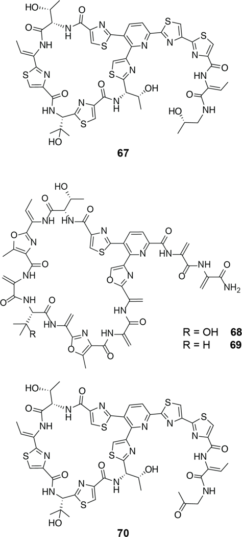 Figure 40.