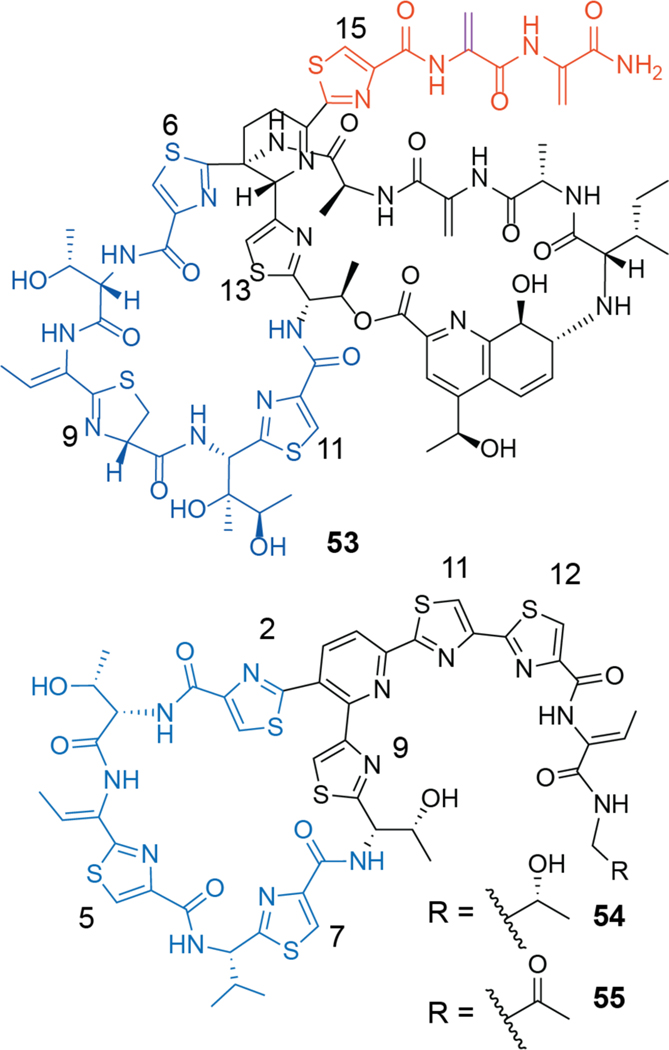 Figure 31.