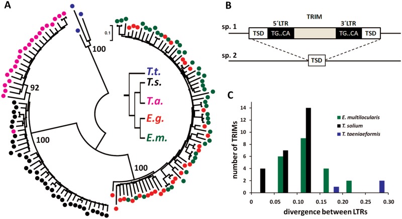 Fig. 2.—