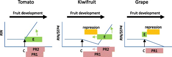 Fig. 9