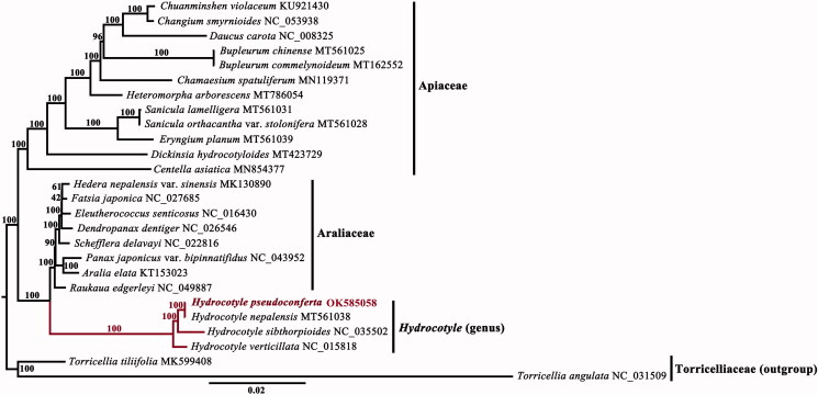 Figure 1.