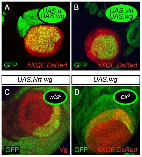 Figure 6