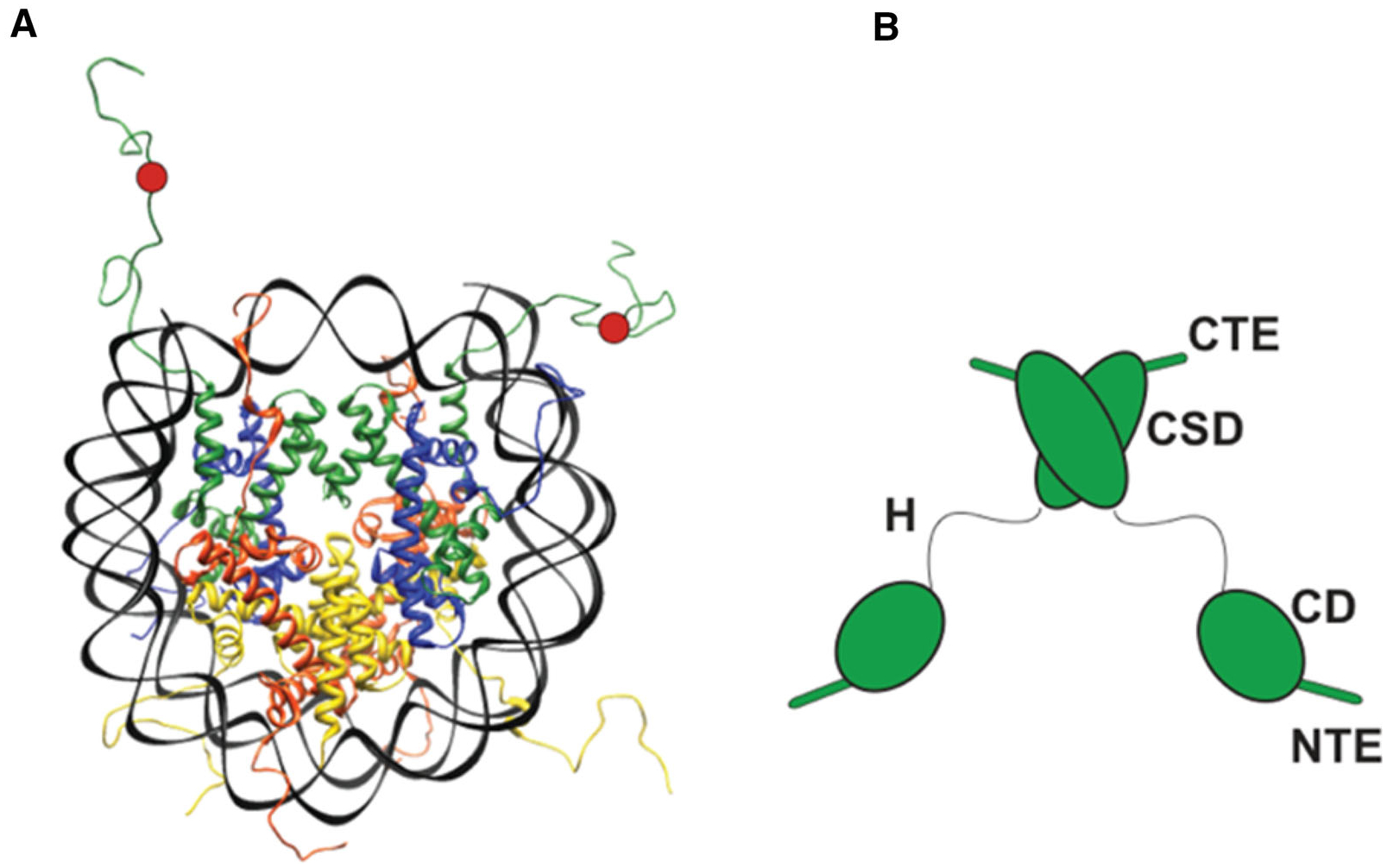 Figure 1.