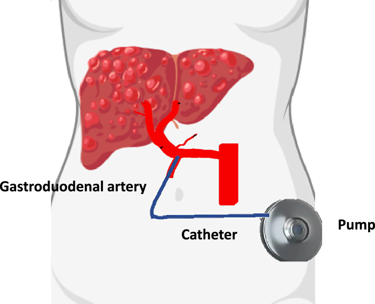 Fig. 1.