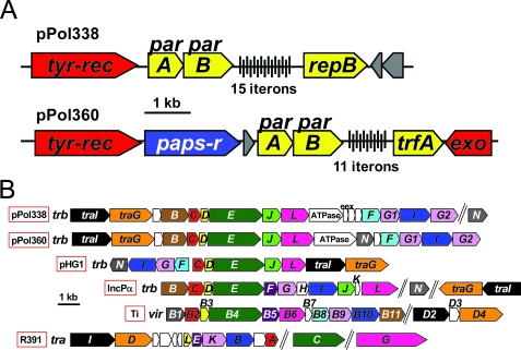 FIG. 4.