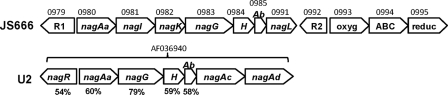 FIG. 10.