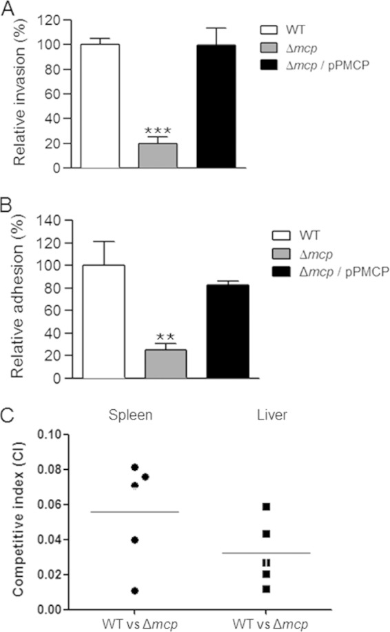 FIG 3