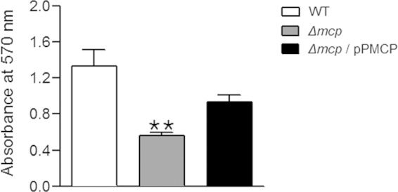 FIG 5