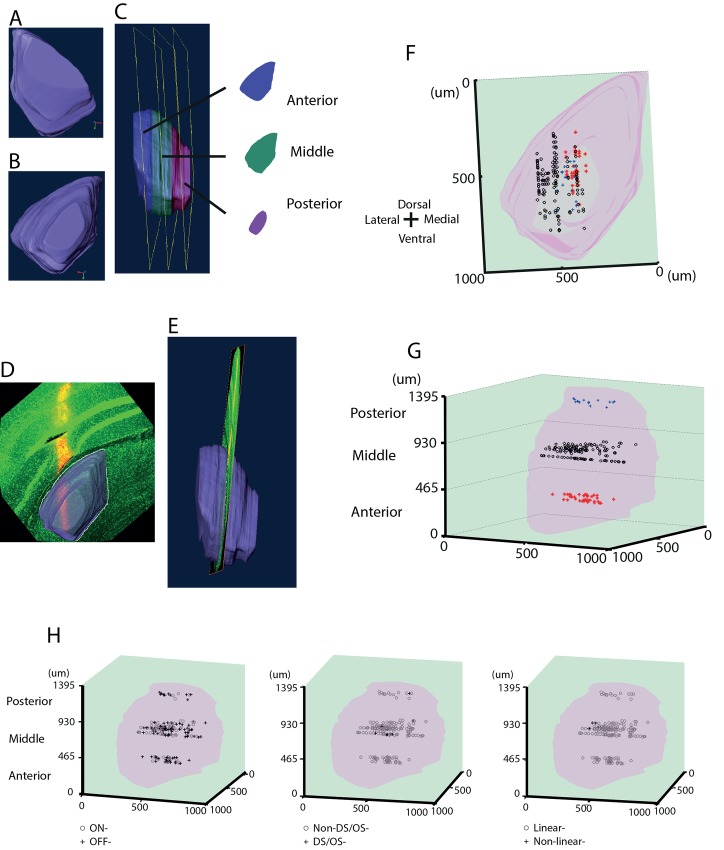 Fig 11