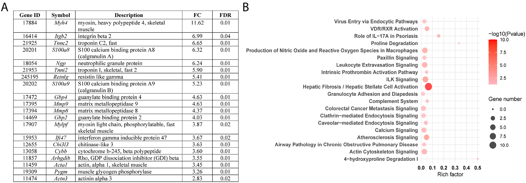 Figure 6.