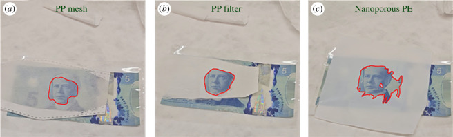 Optical pictures of transparency changes with the addition of mineral oil onto different fabrics and films (outline of the interface highlighted in red)